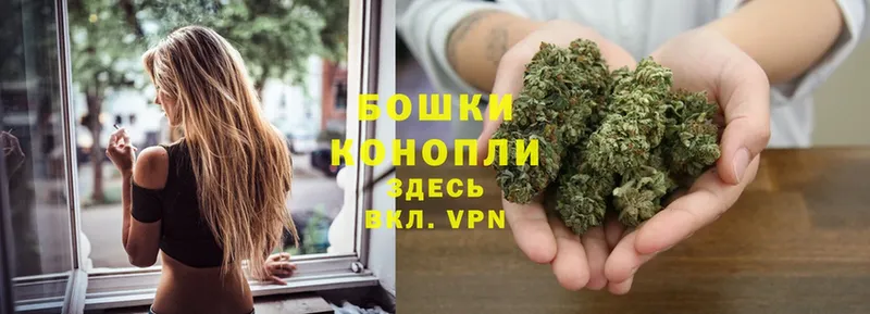 Марихуана OG Kush  Тосно 